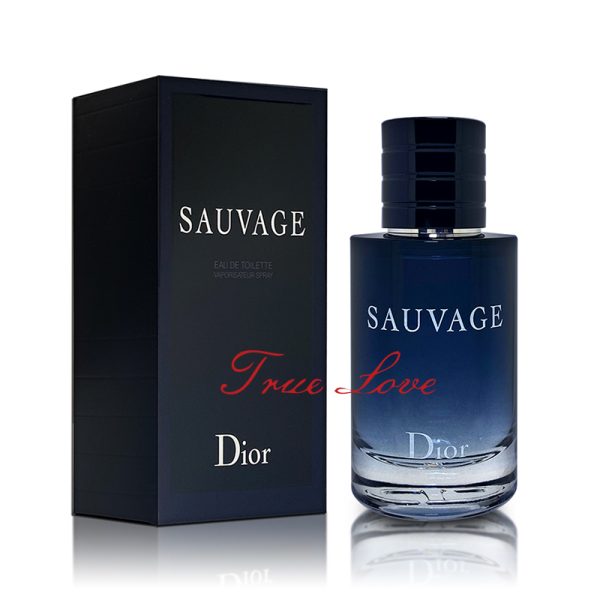 dior 迪奧 曠野之心淡香水 60ml