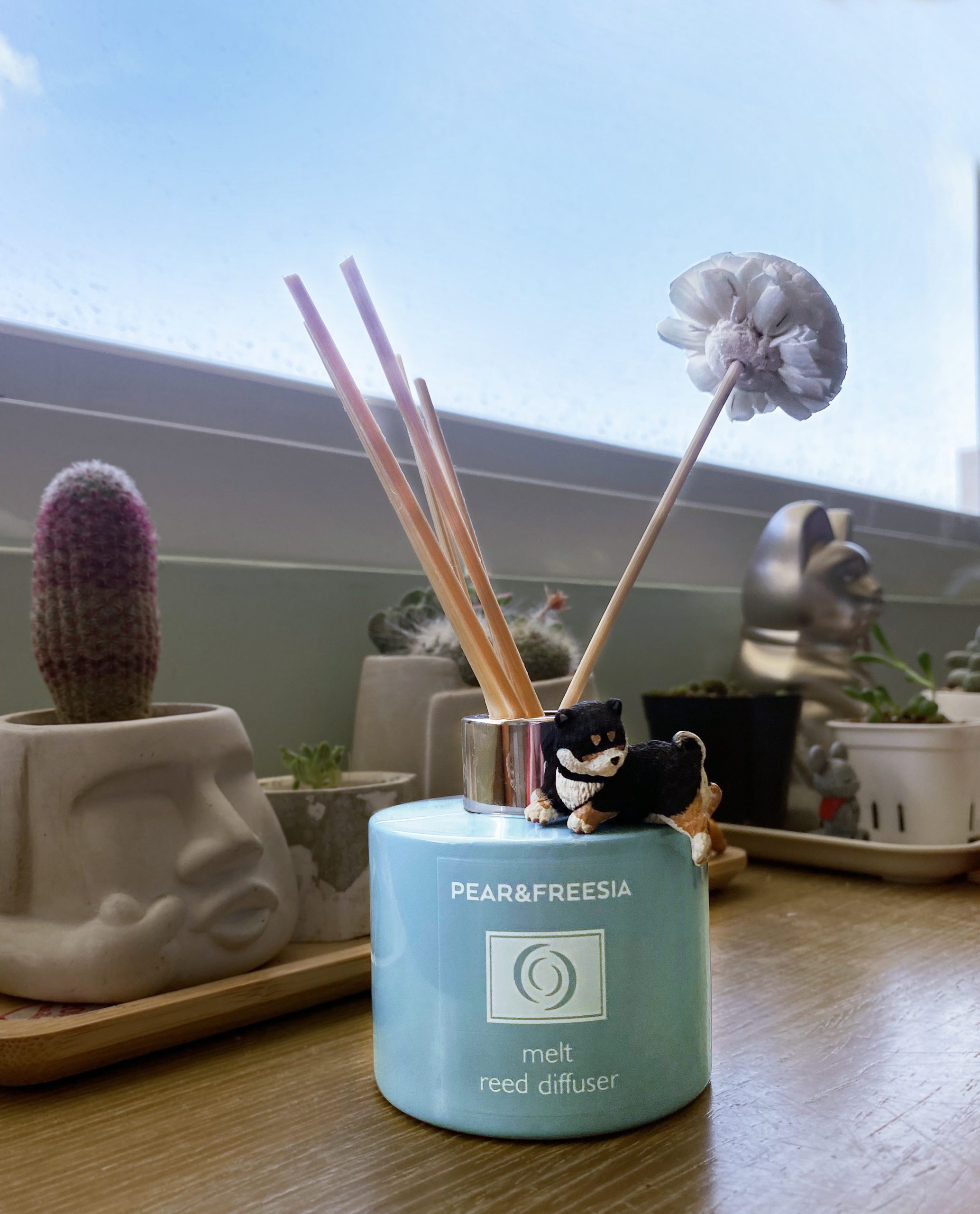 melt 香水分裝瓶禮盒 5mlx3入 便利好攜帶 四款顏色任選 (複製)