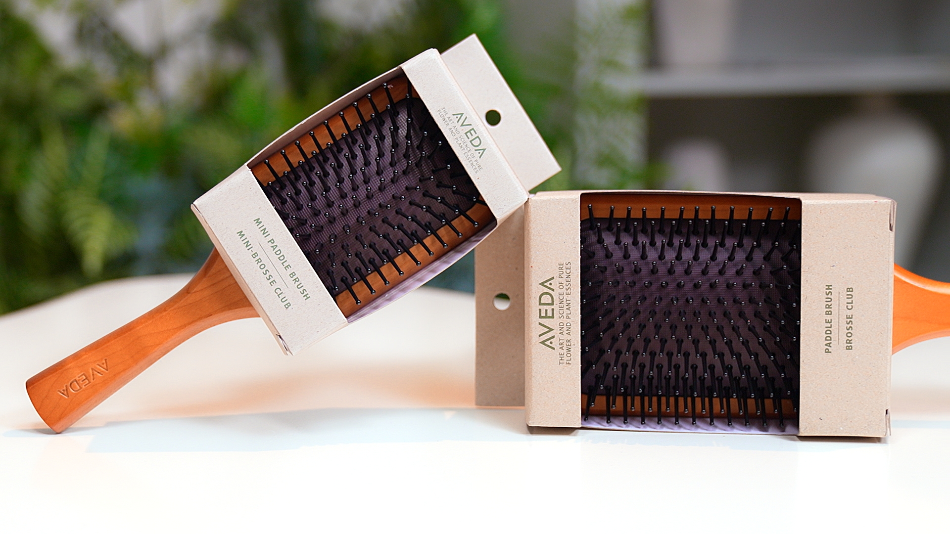 aveda 木質髮梳 大梳